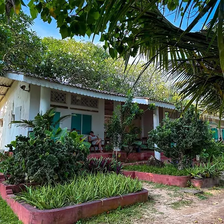 Palm Villa Mirissa Hotel&Spa Exterior photo