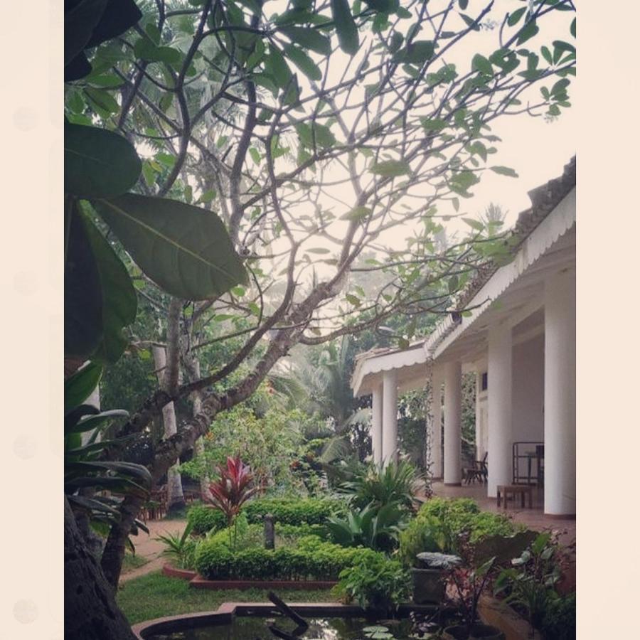Bed & Breakfast Palm Hotel&spa Mirissa