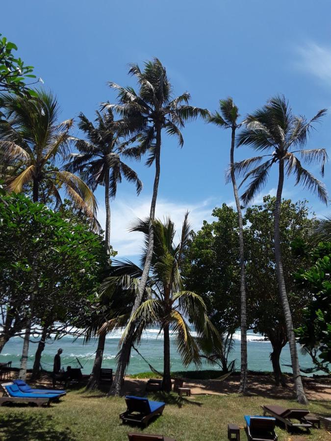 Palm Hotel&spa Bed & Breakfast Mirissa